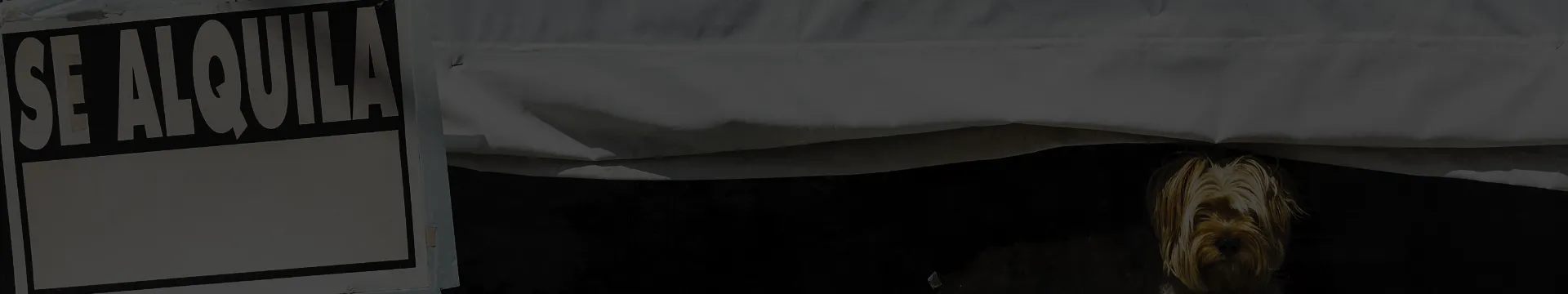 Impacto del Euribor en los alquileres: ¿subirán o bajarán?